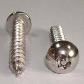 Stainless Steel 317/317L Screws